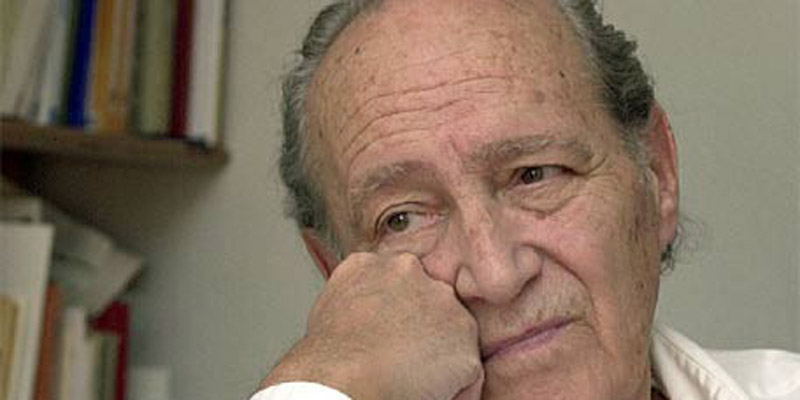 Mendoza Vicente